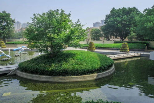 郑州的景观理想国